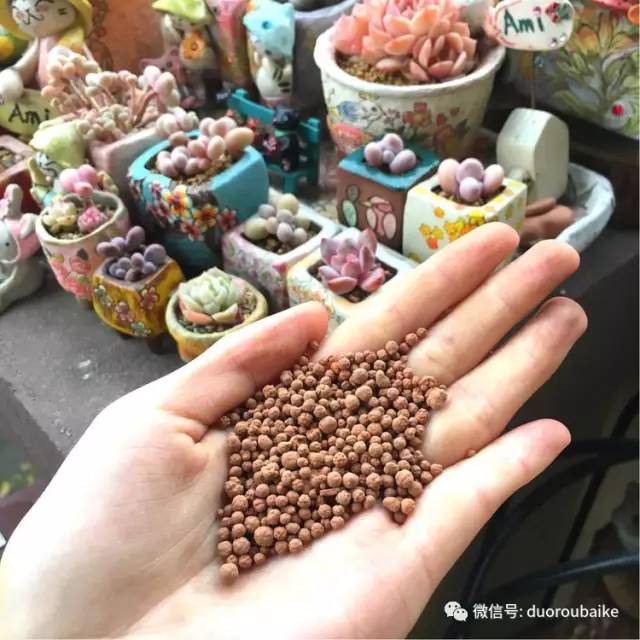 太实用了！图解多肉的配土及用药！