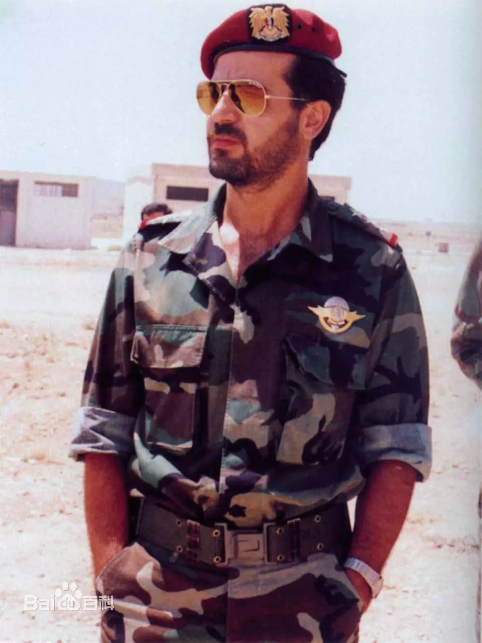 叙利亚阿萨德家族企业,叙利亚阿萨德家族