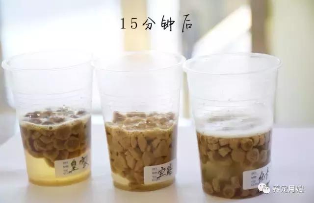 狗粮综合测评分析,狗粮怎么选多款狗粮测评来袭