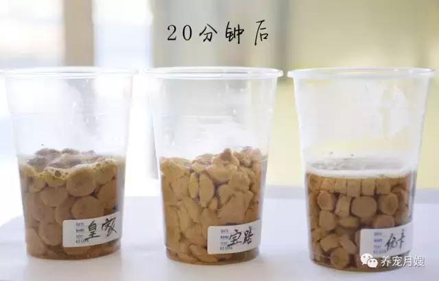 狗粮综合测评分析,狗粮怎么选多款狗粮测评来袭