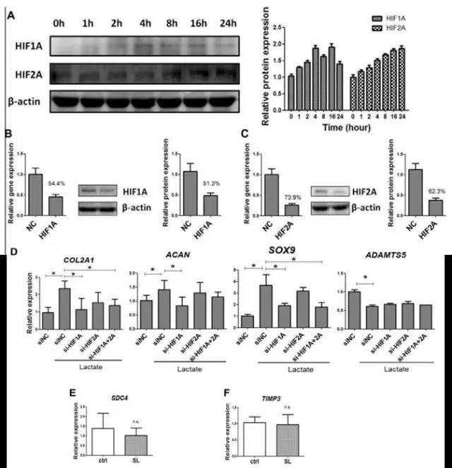 你的骨头够硬吗,你的骨头还好吗