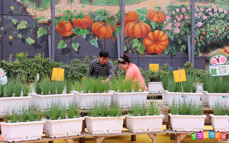 公司年会适合去的地方,公司年会去哪好