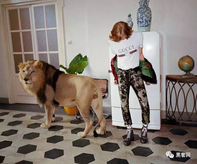 gucci2018春夏新款贝壳包,gucci2023春夏新款包包价格