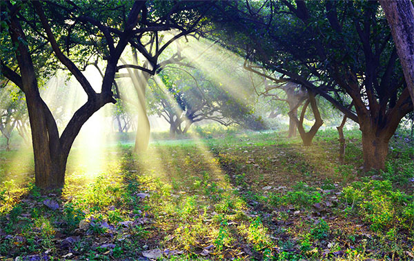 好用的敏感肌品牌,修复敏感肌的十大品牌