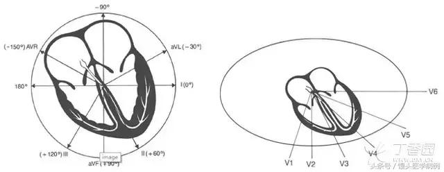 漫话心律失常：窦性心律没你想得那么简单