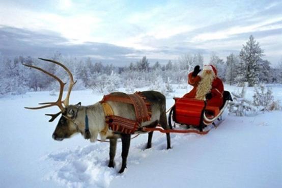 世界上最适合过圣诞节的美丽地方,圣诞节适合去的地方