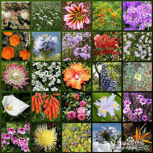 圣诞节一般都送什么礼物,美国怎么过圣诞节送什么圣诞礼物