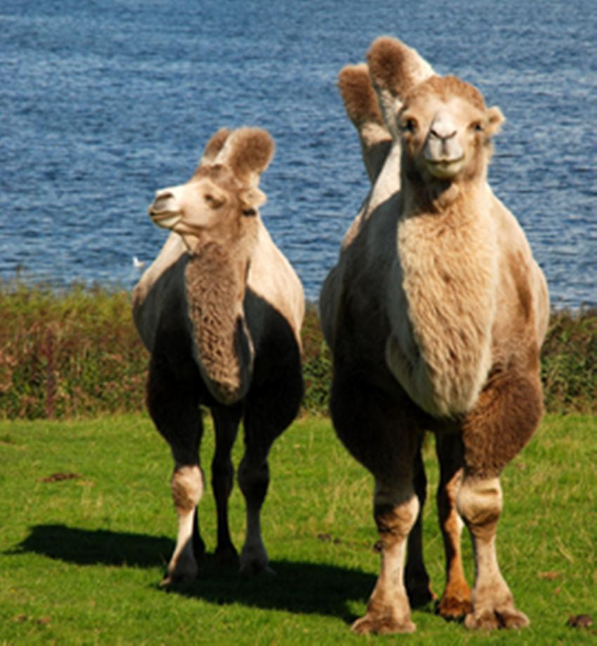 古代帝王陵墓还有没找到的吗,中国帝王陵墓还有多少没有发现
