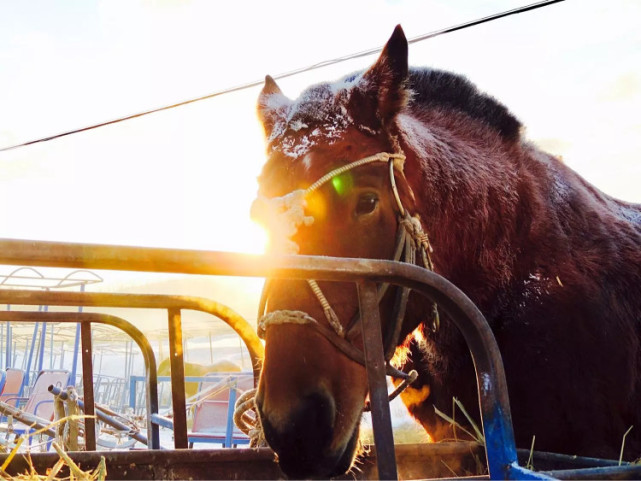 逃离雾霾去旅行,我们要逃离雾霾到美丽的岛屿过冬