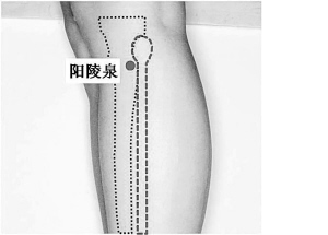 按什么穴位可以治疗脂肪肝,哪些穴位扎针可以治疗脂肪肝