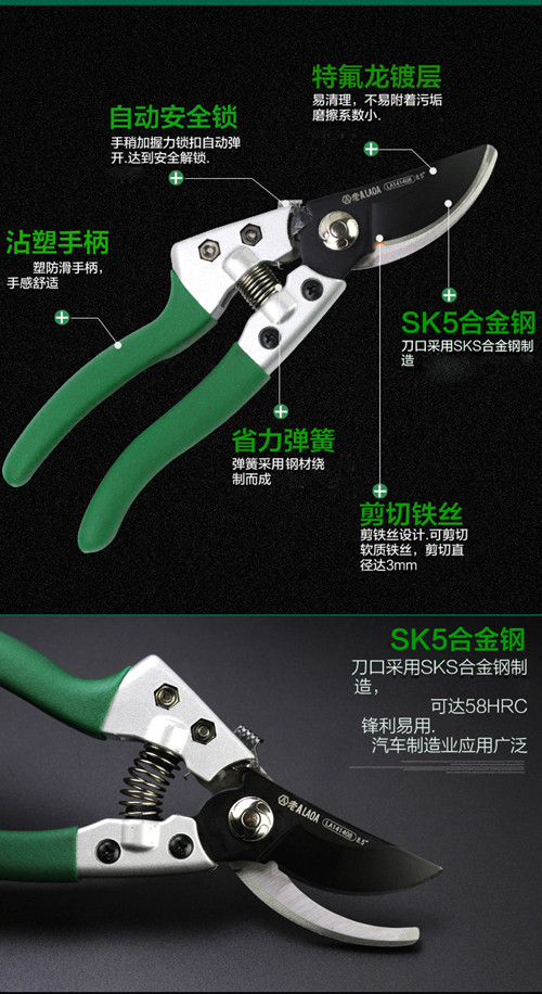 鍥灄鍓灊鍓垁,鍥灄缁垮寲鍓垁