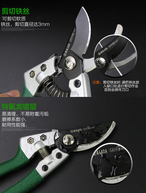 鍥灄鍓灊鍓垁,鍥灄缁垮寲鍓垁