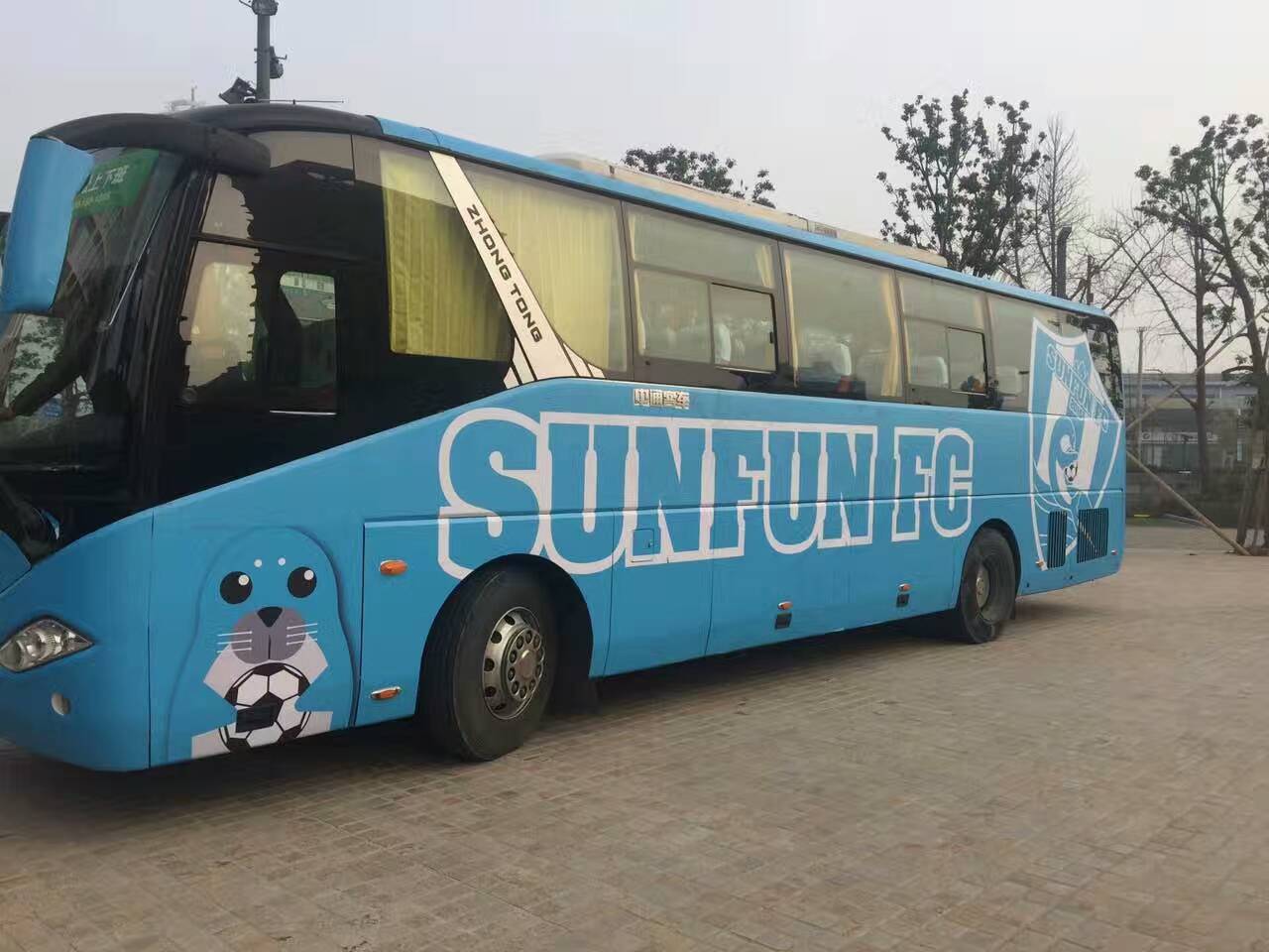 卡尔美薄荷绿足球服,卡尔美足球中甲球员版球衣