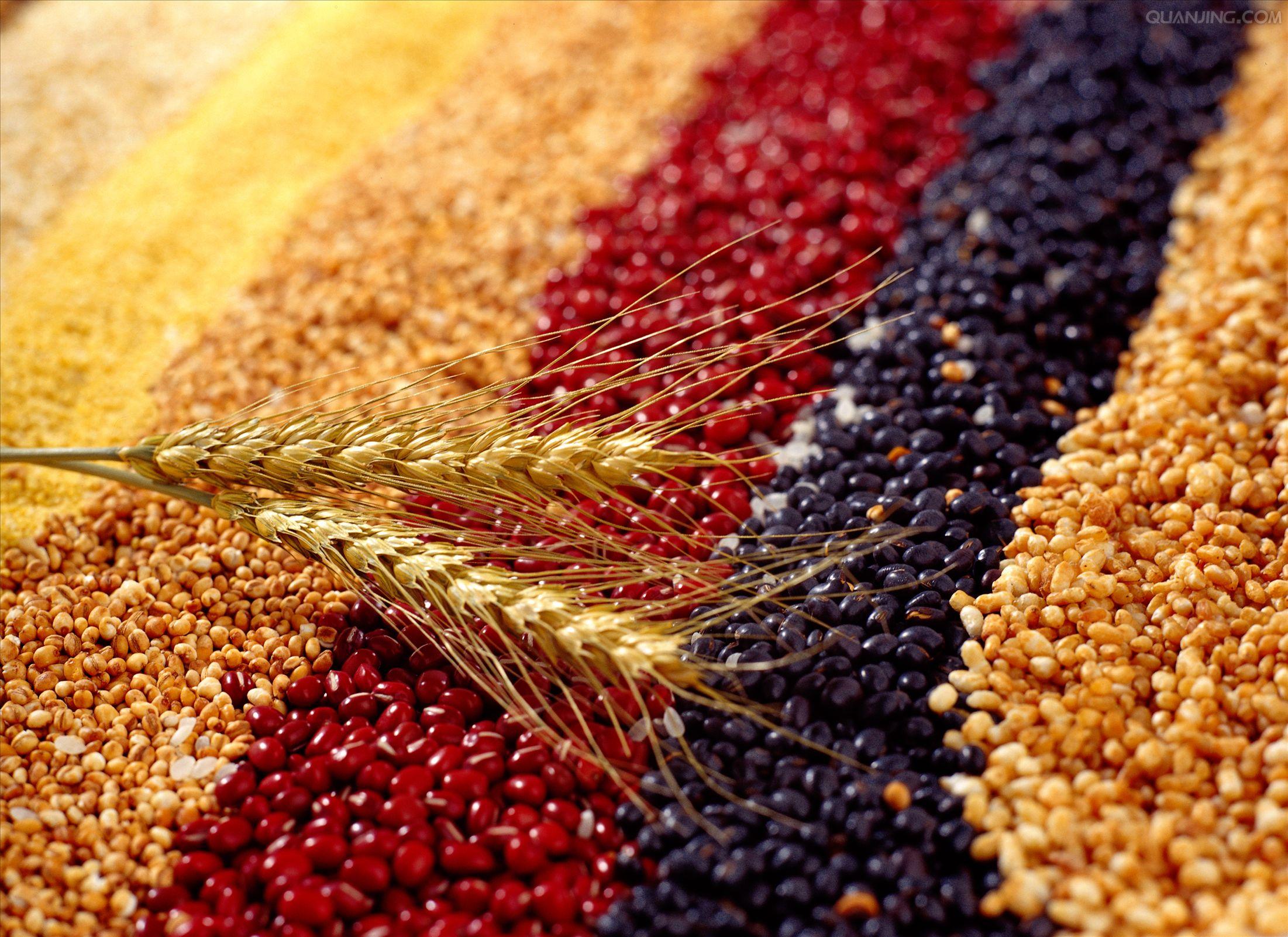 养生方法是顺时养生对吗,养生中的顺其自然