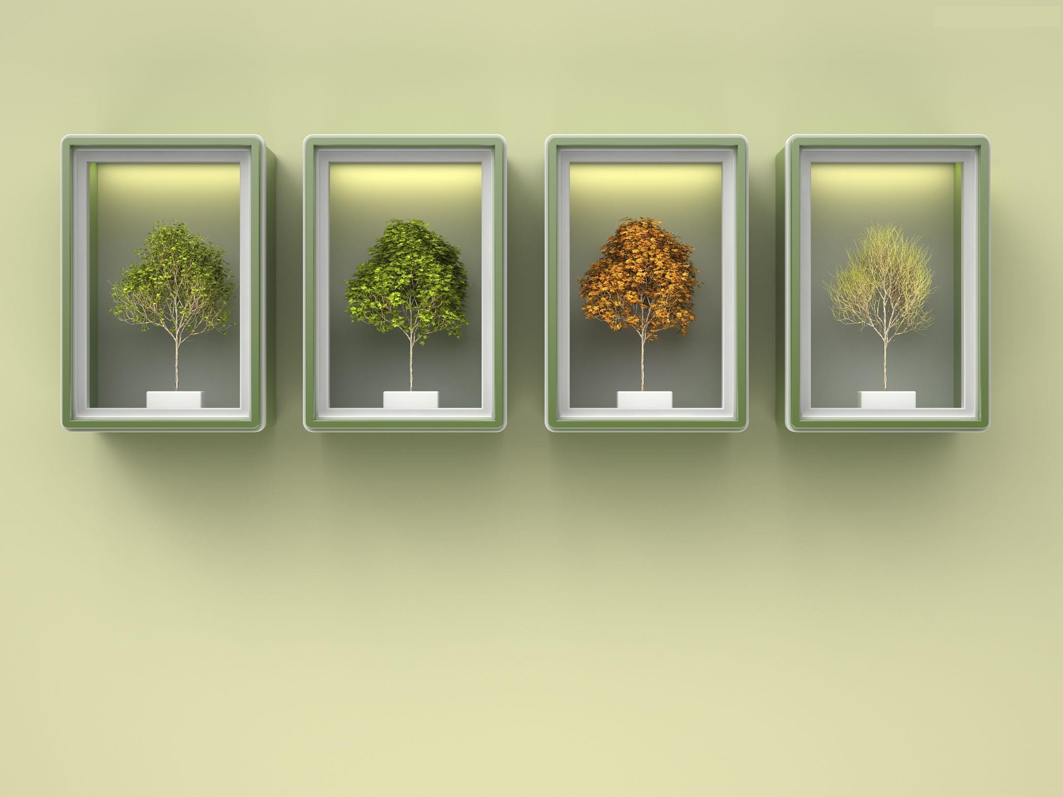 养生方法是顺时养生对吗,养生中的顺其自然