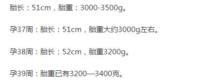 17-19周胎儿发育标准,30-32周胎儿发育标准
