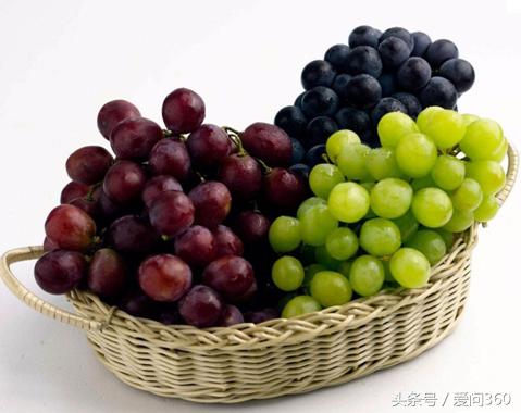 现在的红提可以吃吗,红提怎么吃最有效