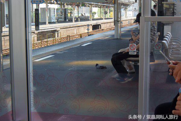 上海大江户温泉平面图,大江户温泉上海