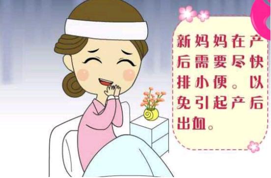 产后排尿困难怎么办最快最有效,产后拔了尿管排尿困难怎么办