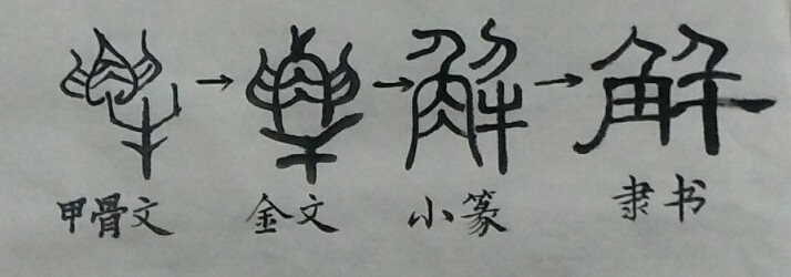 刀的温柔全部小说作品,刀的温柔小说免费在线阅读