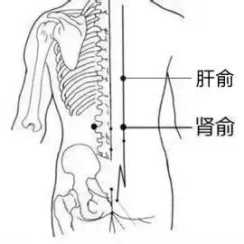 3分钟调理乳腺增生,按什么穴位可以调节乳腺增生