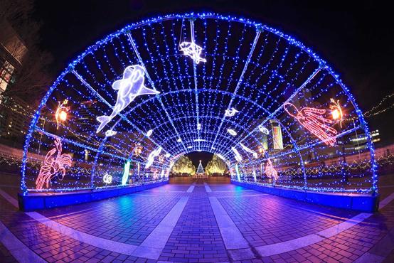 世界上最适合过圣诞节的美丽地方,圣诞节适合去的地方