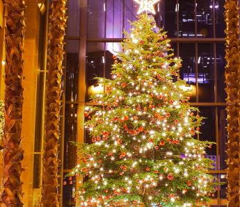 孩子15岁得白癜风家长要做什么,孩子患白癜风大人应该怎么样调节