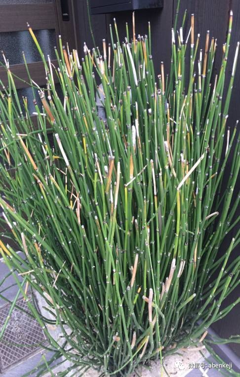 京都大阪名古屋旅游攻略,东京大阪名古屋京都自由行