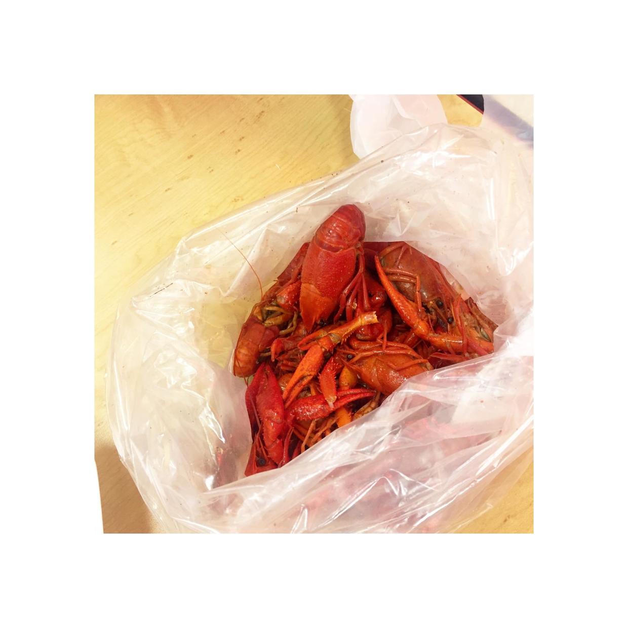 新奥尔良旅游景点攻略,新奥尔良旅游游记散文