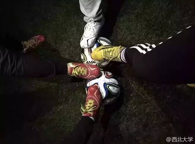 西北师范大学足球女队,西北大学女篮球队12号