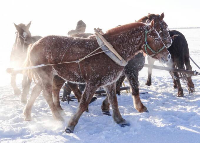 查干湖冬捕纪录片全集,查干湖冬捕地点在哪里
