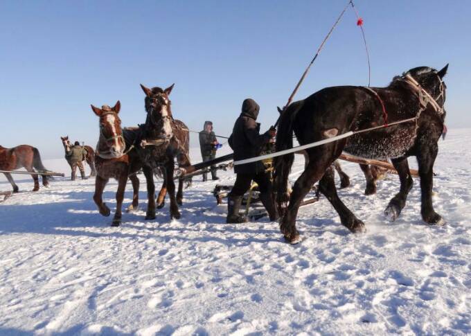 查干湖冬捕纪录片全集,查干湖冬捕地点在哪里