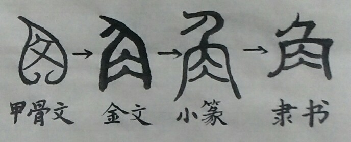 刀的温柔全部小说作品,刀的温柔小说免费在线阅读