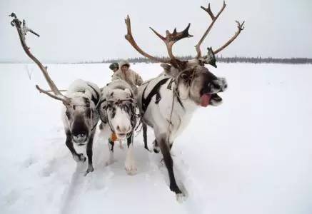 夏季那达慕大会呼伦贝尔,2022年呼伦贝尔冬季那达慕开幕