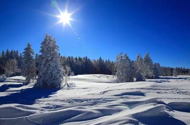 跟生活请个假放松一下心情,放下疲惫享受生活的美