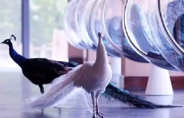 跟生活请个假放松一下心情,放下疲惫享受生活的美