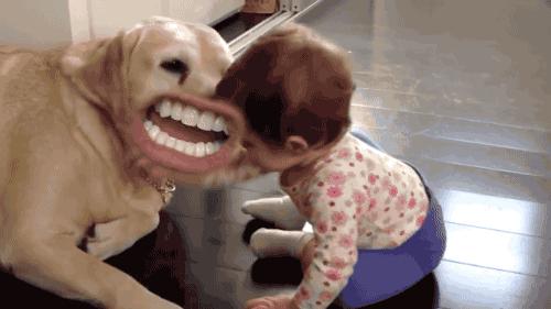 怎么在女朋友家赖着不走,女朋友赖在家里不走怎么办