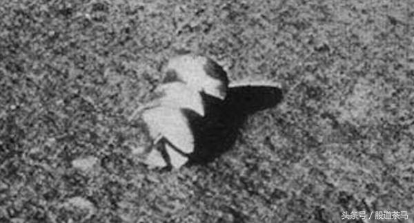 发现奇怪物体视频,发现很奇怪的东西图片