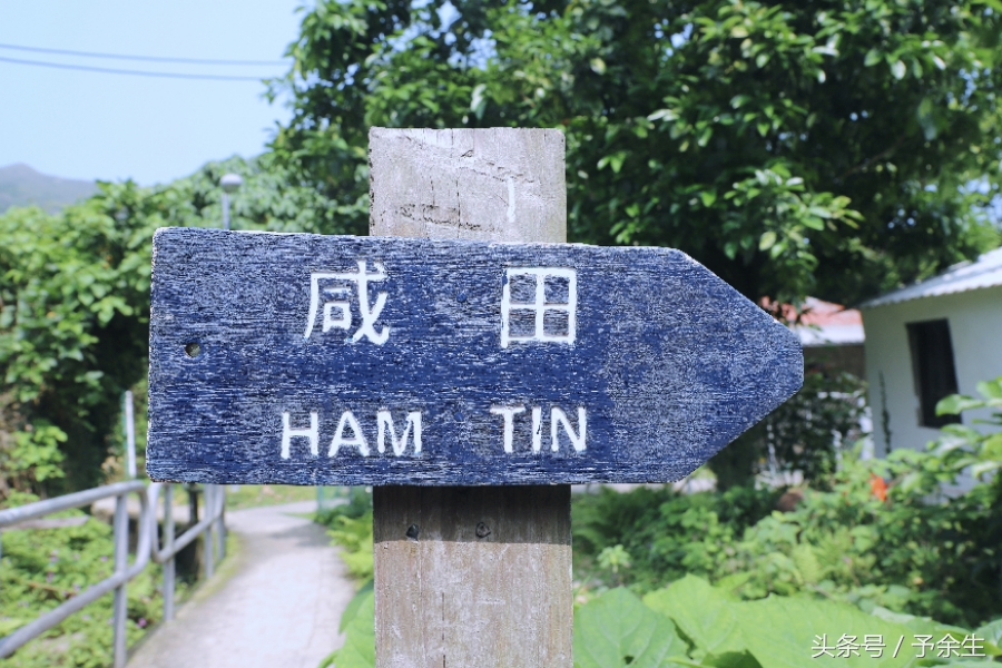 行麦径风景时宿轻沙绵风中