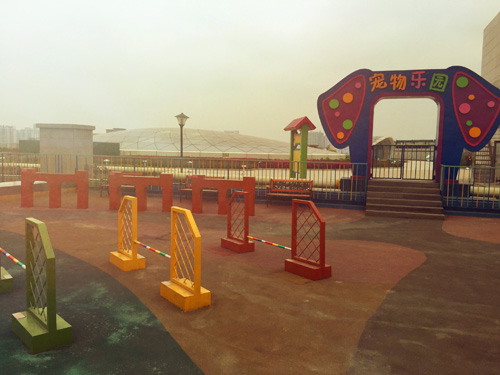 拥抱屋顶，让我们做一场离天空很近的梦