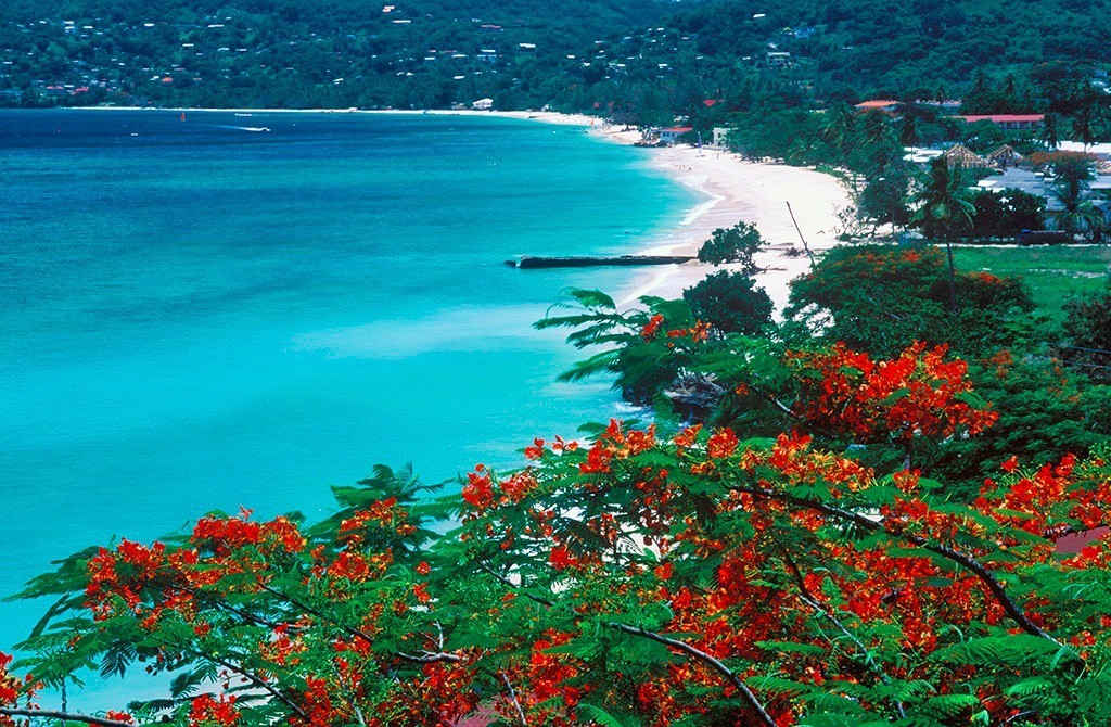 对中国免签或落地签的海岛,最新出国旅游的海岛免签