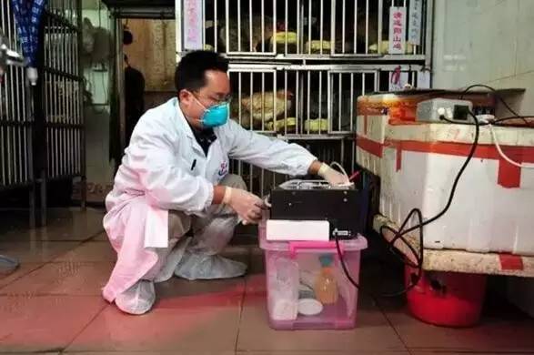 中山去深圳高速通车了吗,中山明天开通高速可以去哪里