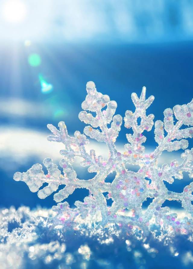 冬季怕冷应该吃什么补充营养,冬季进补到底有没有效