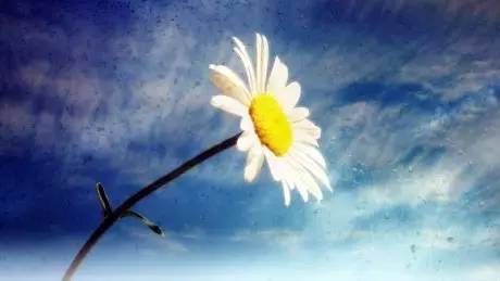 「新闻下午茶」远光灯又惹祸？玉东大道一白色轿车失控撞烂10余节护栏，致使……