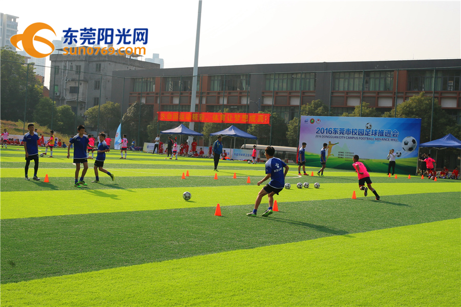 不说不知道！东莞校园足球原来那么牛！连专家都说整体水平可进省前五！