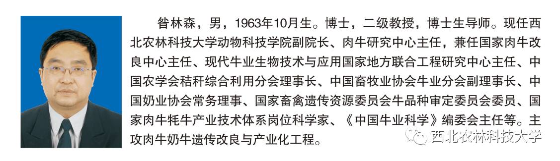 土豆烧牛肉最正宗做法视频,土豆烧牛肉为什么牛肉很硬