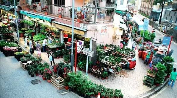 考试考完了该玩什么,考试考完去哪里玩