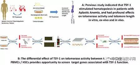 现在有哪些中药可以治疗癌症,癌症传统三大疗法