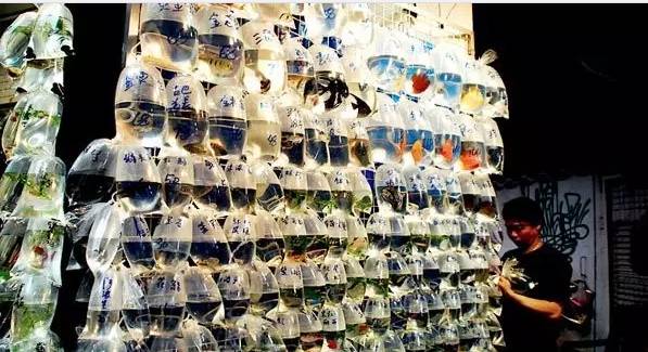 考试考完了该玩什么,考试考完去哪里玩