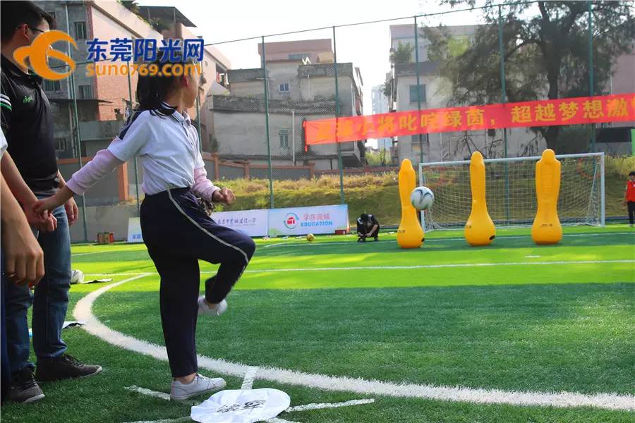 不说不知道！东莞校园足球原来那么牛！连专家都说整体水平可进省前五！